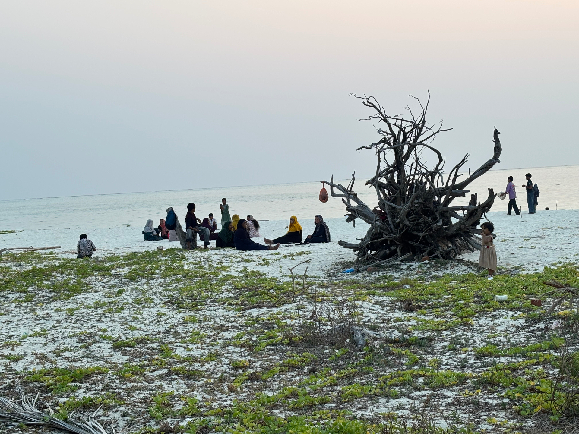 Lakshadweep families gathered on the beach at dusk near a weathered driftwood tree